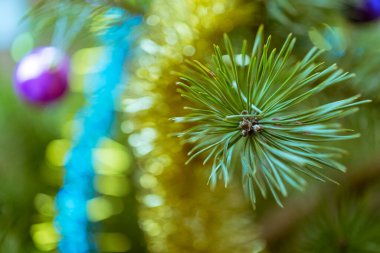 Noel ağacı, çelenkler ve oyuncaklarla süslenmiş.