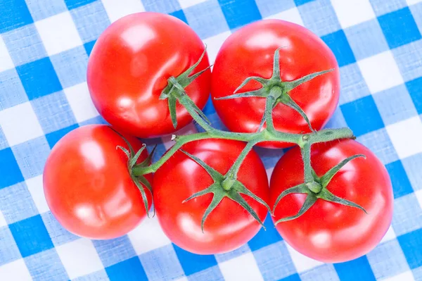 Tomates Rouges Sur Une Branche Sur Une Nappe Bleue Carreaux — Photo