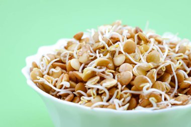 Sprouted grains of lentils in a glass plate on a green background. clipart
