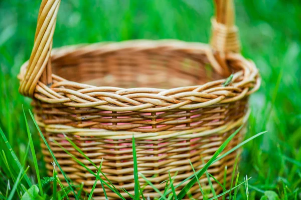 Wicker Basket Standing Green Grass — Stock Photo, Image