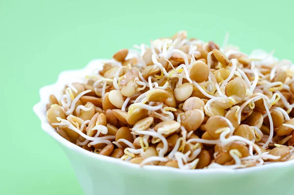 Grains Germés Lentilles Dans Une Assiette Verre Sur Fond Vert — Photo