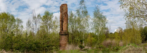 Velha Chaminé Tijolo Parque Abandonado Que Coberto Com Vegetação Rasteira — Fotografia de Stock