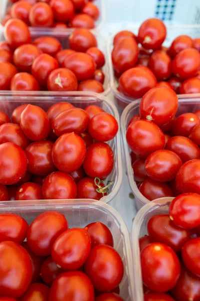 Tomates Rouges Mûres Dans Des Récipients Plastique — Photo