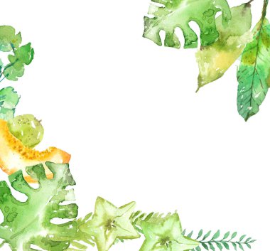 Sulu boya yeşil egzotik bitki ve meyveler, güzel arka plan