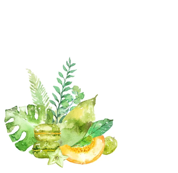 Watercolor Green Exotic Plants Fruits Beautiful Background — Stock Photo, Image