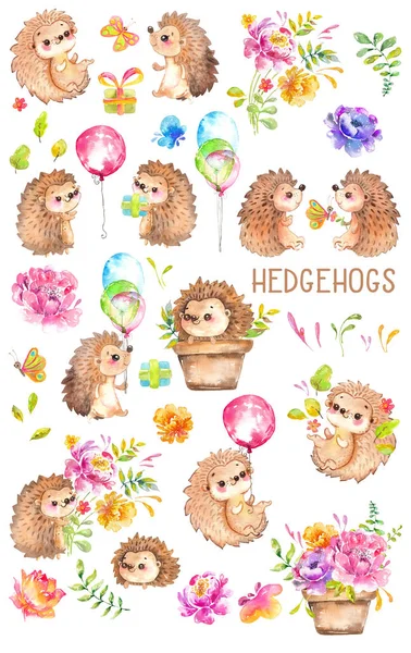 Watercolor Hedgehogs Babies Watercolor Little Animal Clipart Flowers Child Kid — Stock Photo, Image