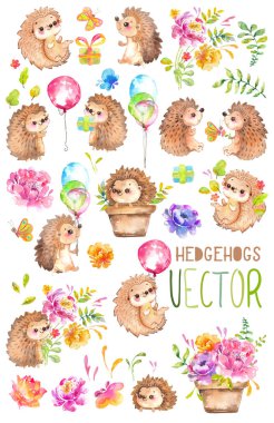 Suluboya kirpi. Bebekler. Suluboya küçük hayvan clipart, çiçek, çocuk, çocuk, Bebek-tarihi, babyshower, dekorasyon