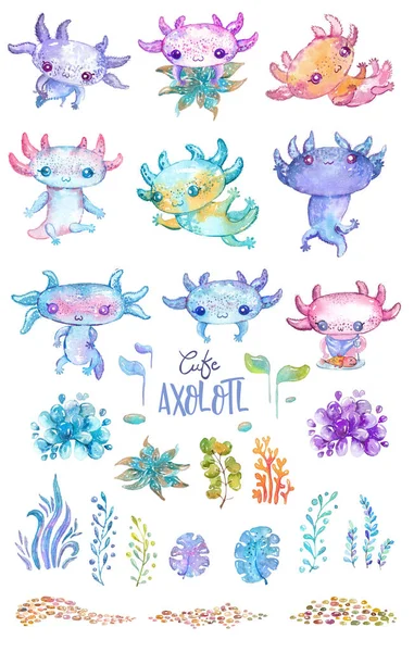 Aquarell Niedliche Axolotl Figuren Für Die Gestaltung Von Verschiedenen Produkten — Stockfoto