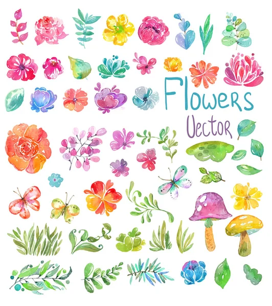 Akvarell Vackra Blommönster Brigft Blommor Vit Bakgrund Olika Slags Grenar — Stock vektor