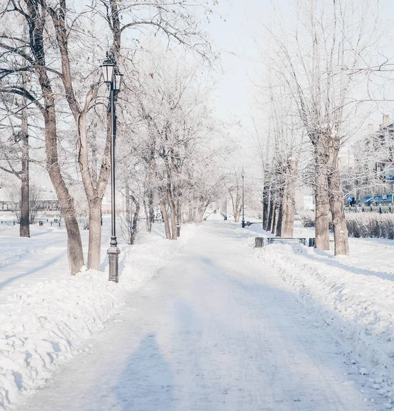 冬季公园 外面被白雪覆盖的风景 — 图库照片