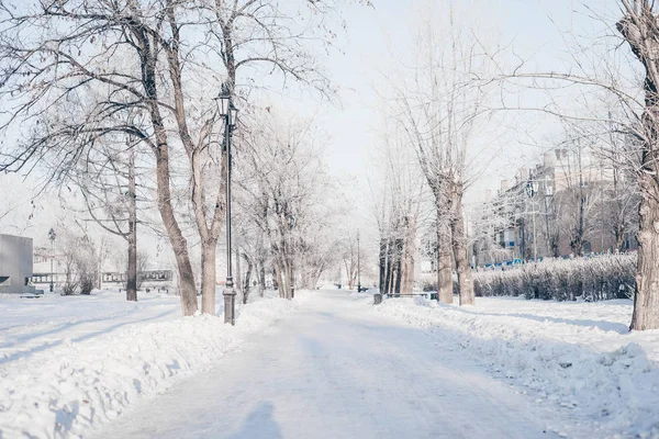 Winterpark Verschneite Landschaft Draußen — Stockfoto