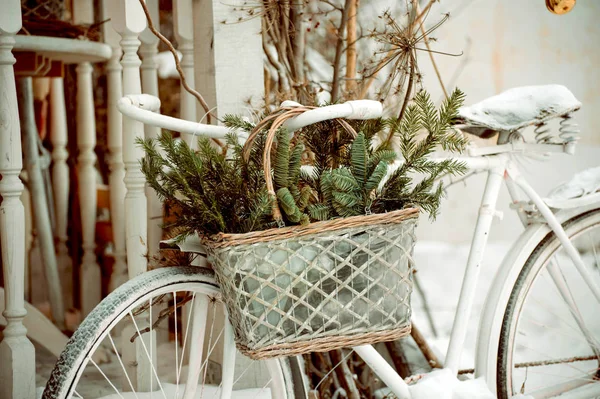 Белый Велосипед Корзиной Еловыми Ветвями Снаружи Новогодняя Отделка Празднику — стоковое фото