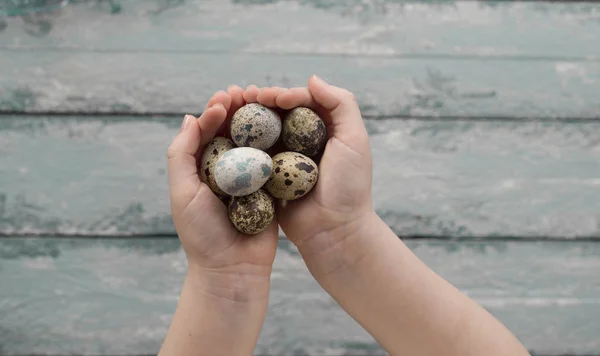 Fond de Pâques, les mains des petits enfants tiennent des œufs de caille — Photo