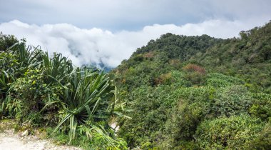 Mount Sibayak Adası Sumatra, Endonezya eğimi