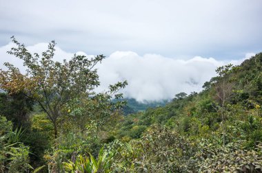 Mount Sibayak Adası Sumatra, Endonezya eğimi