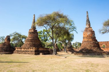 Ayutthaya, Tayland eski şehir kalıntıları görünümünü