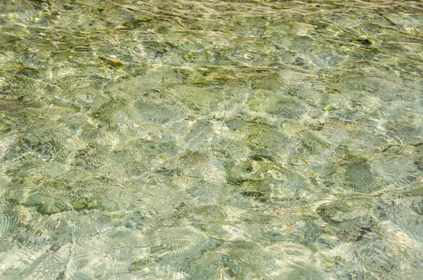 Вид Прозрачной Воды Над Морским Дном — стоковое фото