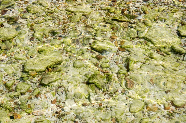 Blick Auf Transparentes Wasser Über Dem Meeresboden — Stockfoto