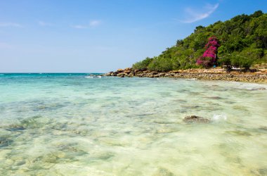 Ko Lan sahil Adası Tayland Körfezi yakınlarında Pattaya, Tayland