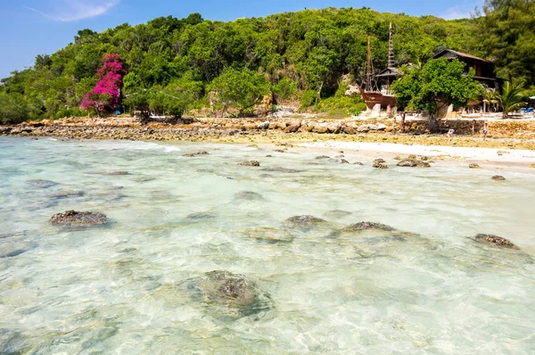 タイ湾 タイのパタヤの近くに Lan が島の海岸の島 — ストック写真