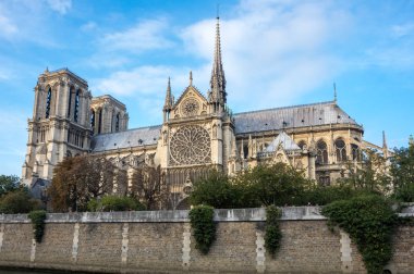 Notre-Dame de Paris (Fransızca 