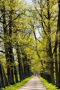 Görünümünü Alexander parkta Puşkin, Saint-Petersburg, Rusya Federasyonu