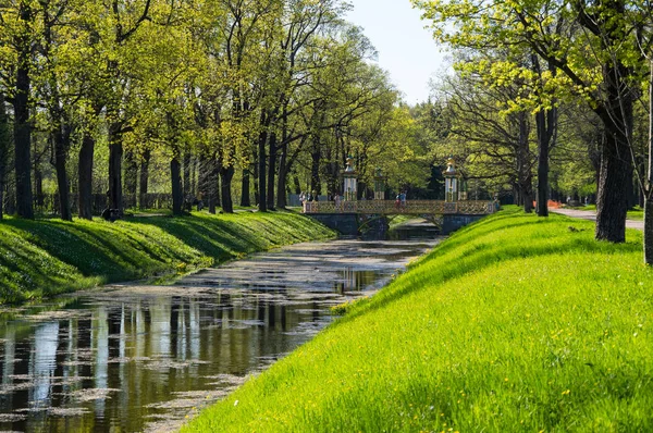 Ponte Sul Canale Nel Parco Alessandro Zarskoe Selo Pushkin San — Foto Stock