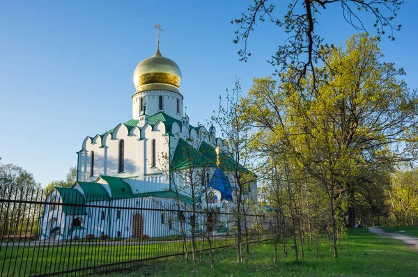 Vista Catedral Teodoro Pushkin San Petersburgo Rusia — Foto de Stock