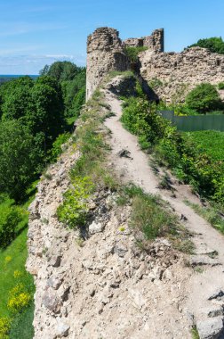 Saint-Petersburg, Rusya Federasyonu yakınındaki Leningrad bölgesinde Koporye kale kalıntıları