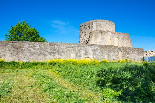 Ruinas Fortaleza Koporye Región Leningrado Cerca San Petersburgo Rusia —  Fotos de Stock