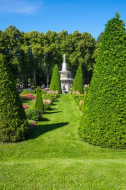 Saint-Petersburg, Rusya-11 Temmuz 2016: Roma Çeşmesi Peterhof, Saint Petersburg alt Bahçe parkında