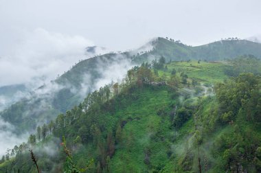 Panoramik yağışlı sezon, Endonezya Sumatra Adası