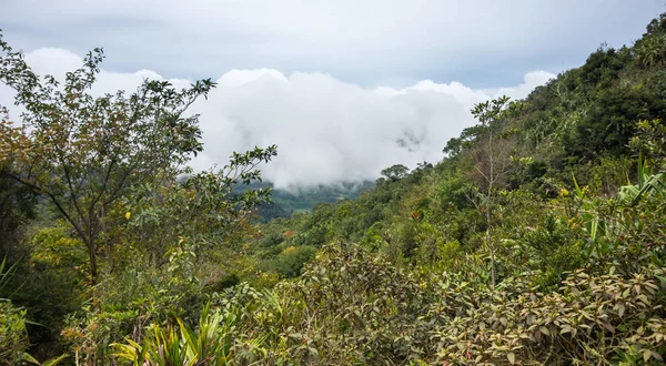 Slope Mount Sibayak Island Sumatra Indonesia — Stock Photo, Image