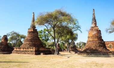 Ayutthaya, Tayland eski şehir kalıntıları görünümünü