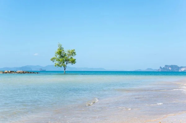 Klong Muang Strand Der Provinz Krabi Thailand — Stockfoto