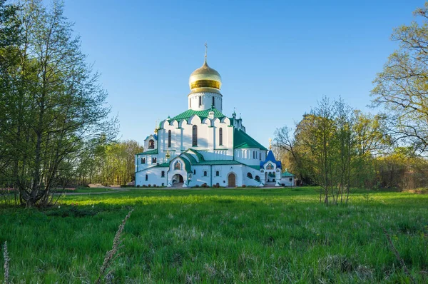 在普希金 圣彼得堡 俄罗斯的西奥多大教堂的看法 — 图库照片