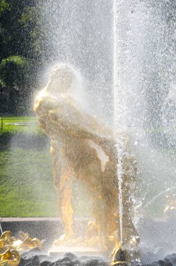 Saint-Petersburg, Rusya-11 Temmuz 2016: Samson Peterhof, Saint-Petersburg, Rusya Federasyonu alt Bahçe Grand Cascade Çeşmesi