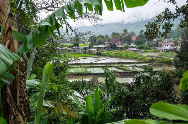 Ada Samosir Görünümünü Lake Toba Kuzey Sumatra Endonezya Endonezya Adası — Stok fotoğraf