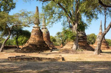 Ayutthaya, Tayland eski şehir kalıntıları görünümünü