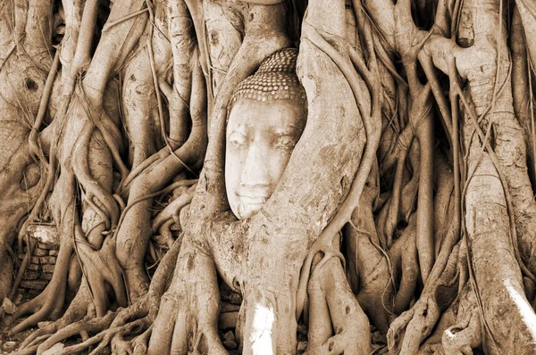 Buddha Kőfeje Körülvéve Gyökereivel Wat Prha Mahathat Templomban Ayutthayában Thaiföldön — Stock Fotó
