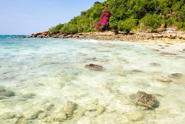 Ko Lan sahil Adası Tayland Körfezi yakınlarında Pattaya, Tayland