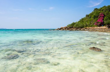 Ko Lan sahil Adası Tayland Körfezi yakınlarında Pattaya, Tayland