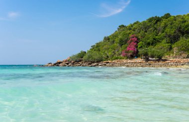 Ko Lan sahil Adası Tayland Körfezi yakınlarında Pattaya, Tayland