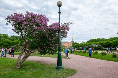 Saint - Petersburg, Rusya Federasyonu - 11 Haziran 2017: Mars alanı veya Marsovo Polye sonra Mars, savaş, Merkezi, Saint-Petersburg, Rusya yer alan Roma tanrısı adlı büyük bir park olduğunu