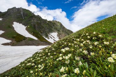 Kızıl Orman, Krasnodar Krai, Rusya 'daki Kafkas dağlarının manzarası