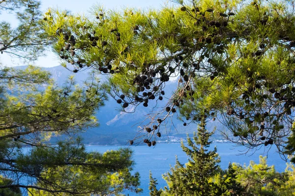 Kemer, Türkiye'deki dağlar görünümünü — Stok fotoğraf