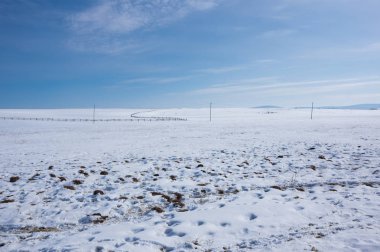 Irkutsk bölgesinde Tazheran bozkırı, Sibirya, Rusya