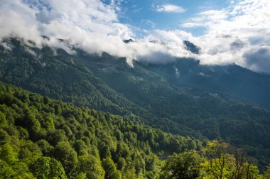 Kafkas Dağları'nın görünümü