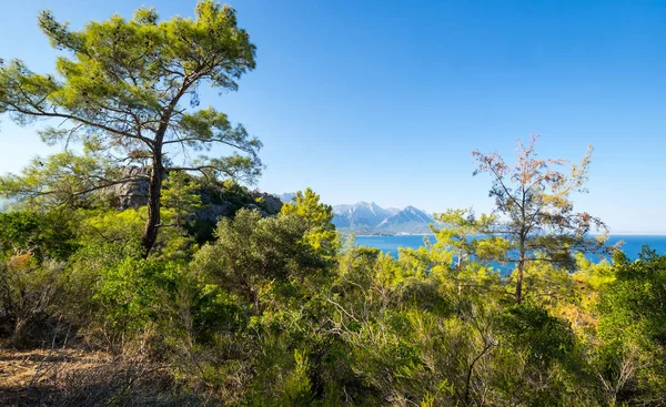 Die Küste des Mittelmeeres — Stockfoto