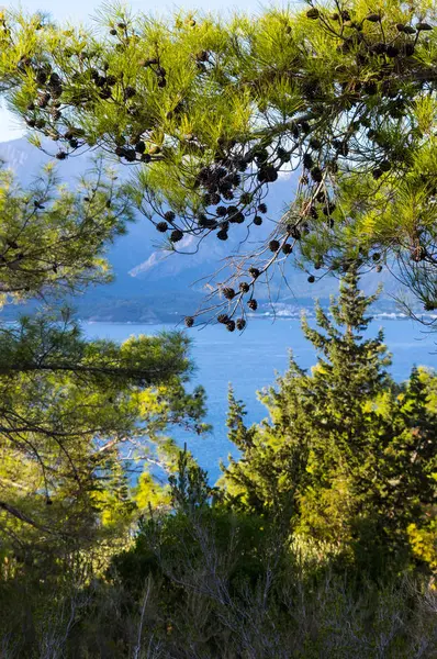 Blick auf die Berge in kemer, Türkei — Stockfoto